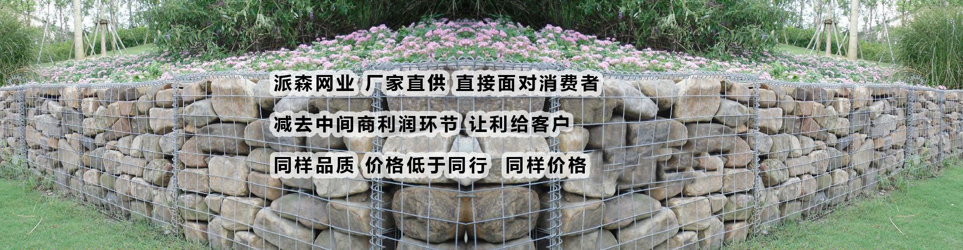 文登22
